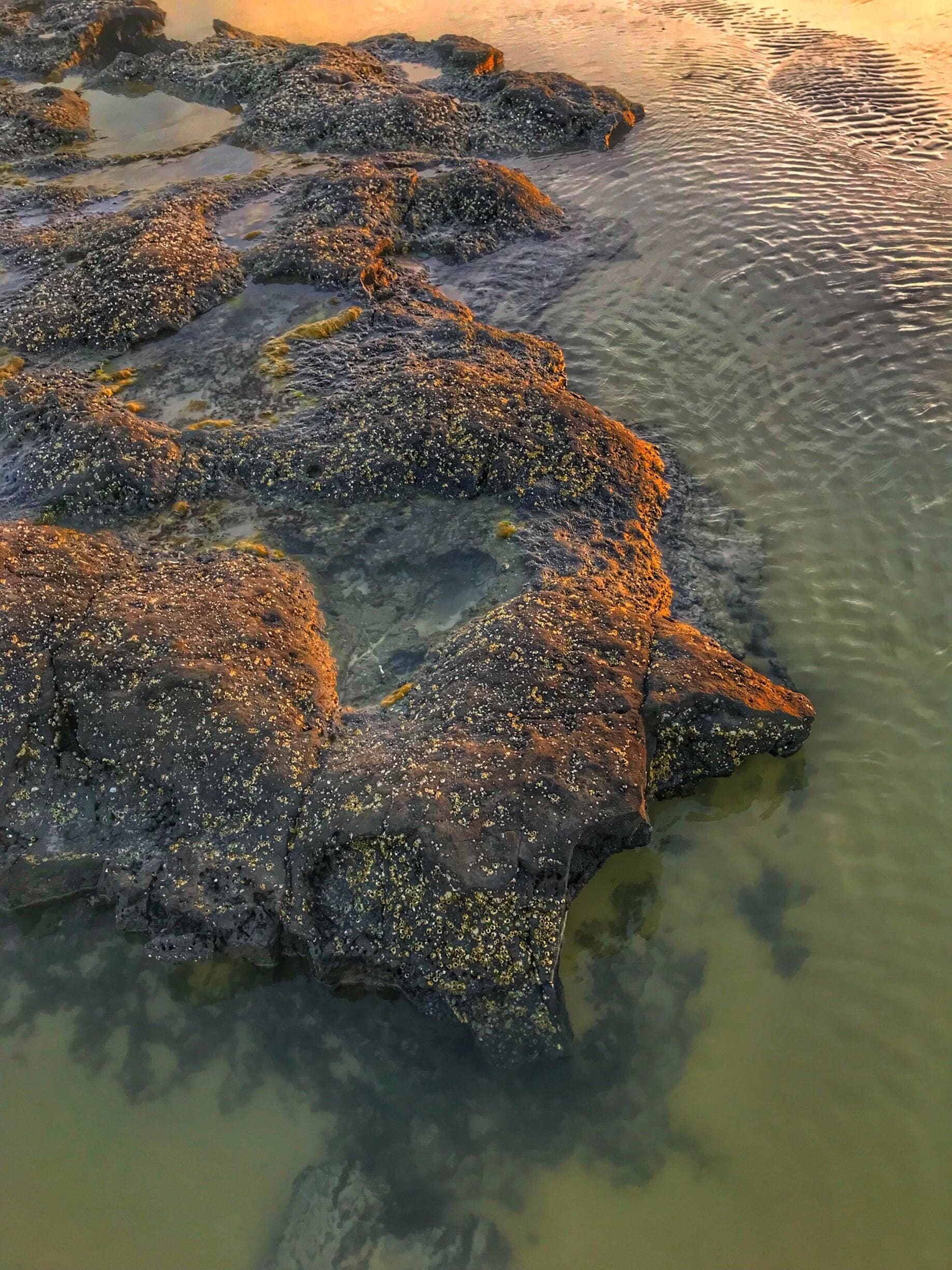 #salinas #beach #salinopolis
#FarolVelho

Maré vazia na praia do Farol Velho em Salinopolis. A praia é boa para crianças. Tem barraquinhas com bebidas e um bom restaurante. Excelente fora da época de veraneio embora nesta época quase nada funcione.

Low tide on the beach of the Old Lighthouse in Salinopolis. The beach is good for children. There are stalls with drinks and a good restaurant. Excellent outside the holiday season although at this time almost nothing works.