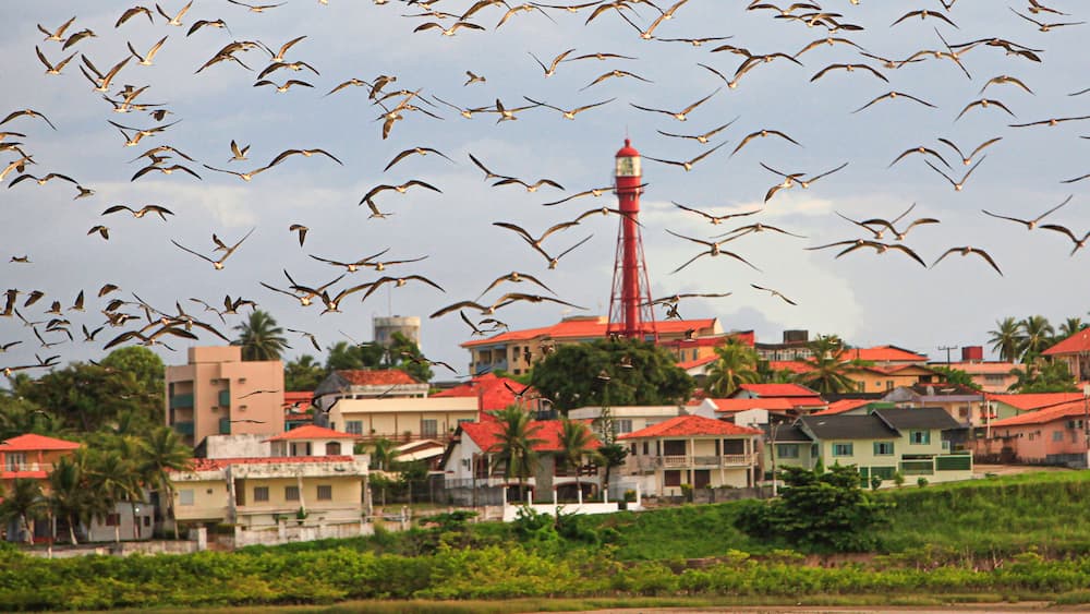 A coastal town with a lighthouse, red-roofed houses, and palm trees.