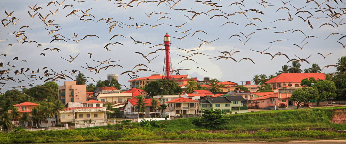 A coastal town with a lighthouse, red-roofed houses, and palm trees.