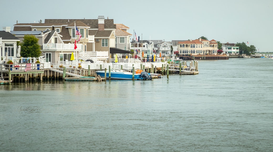 Stone Harbor