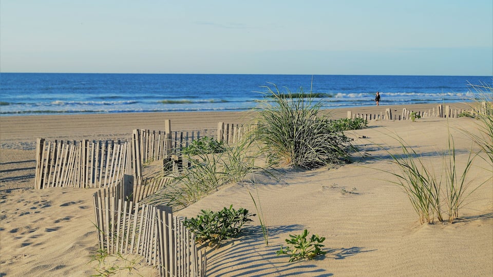 A sandy beach with a wooden fence and some vegetation.