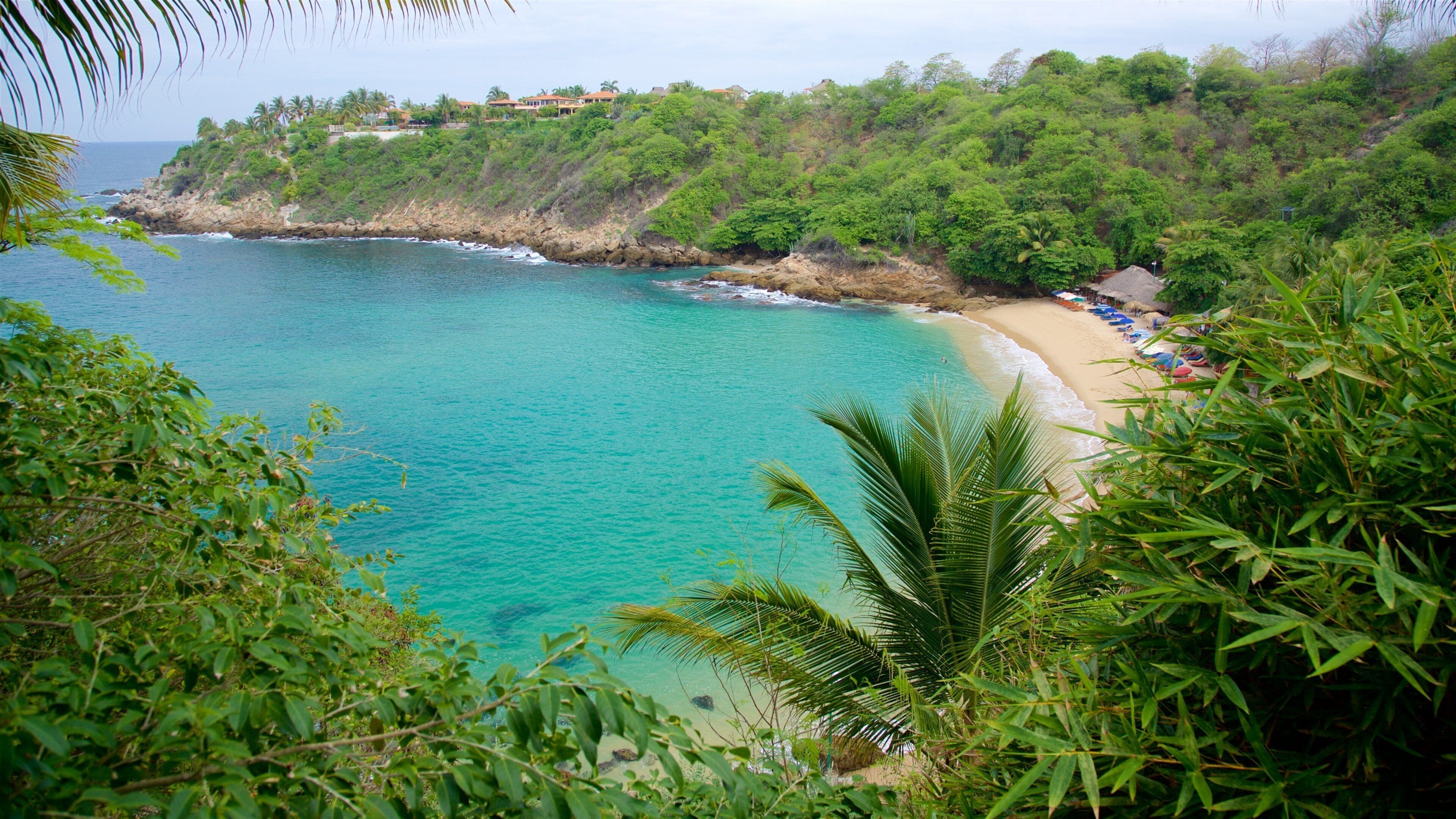 Playa de Carrizalillo ofreciendo una playa de arena y vista general a la costa