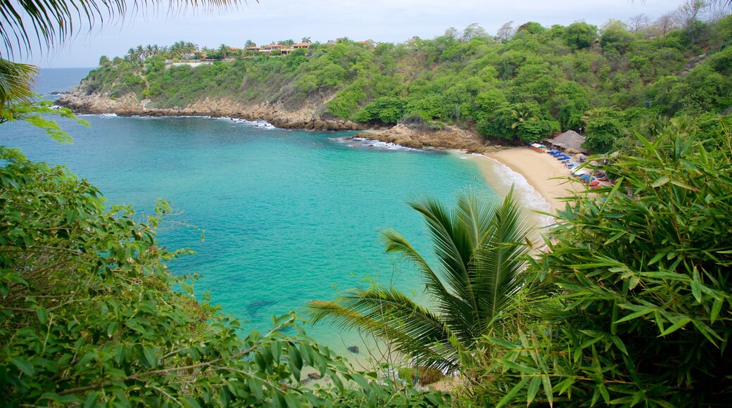 Playa de Carrizalillo ofreciendo una playa de arena y vista general a la costa