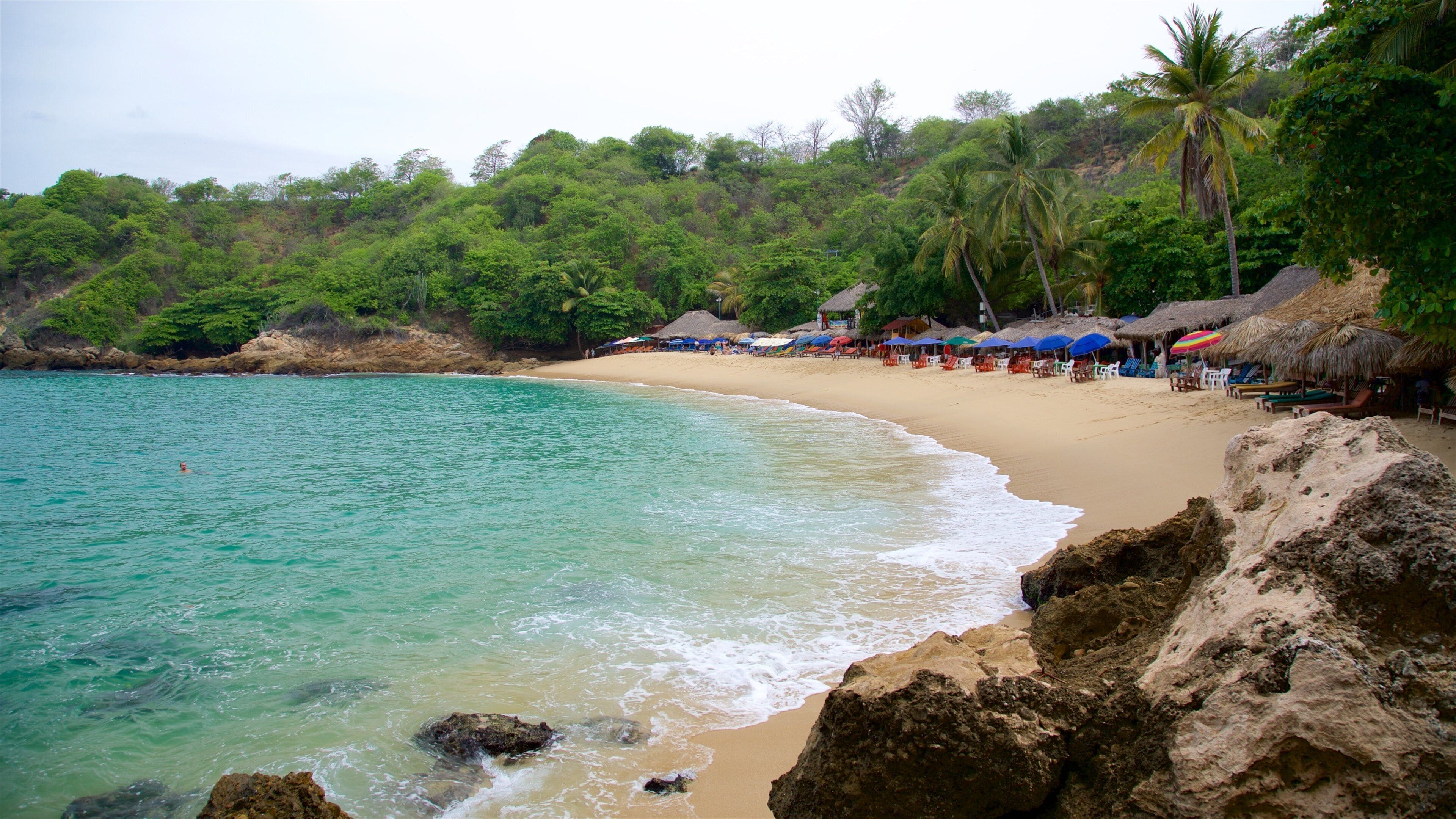 Oaxaca which includes tranquil scenes, a beach and general coastal views