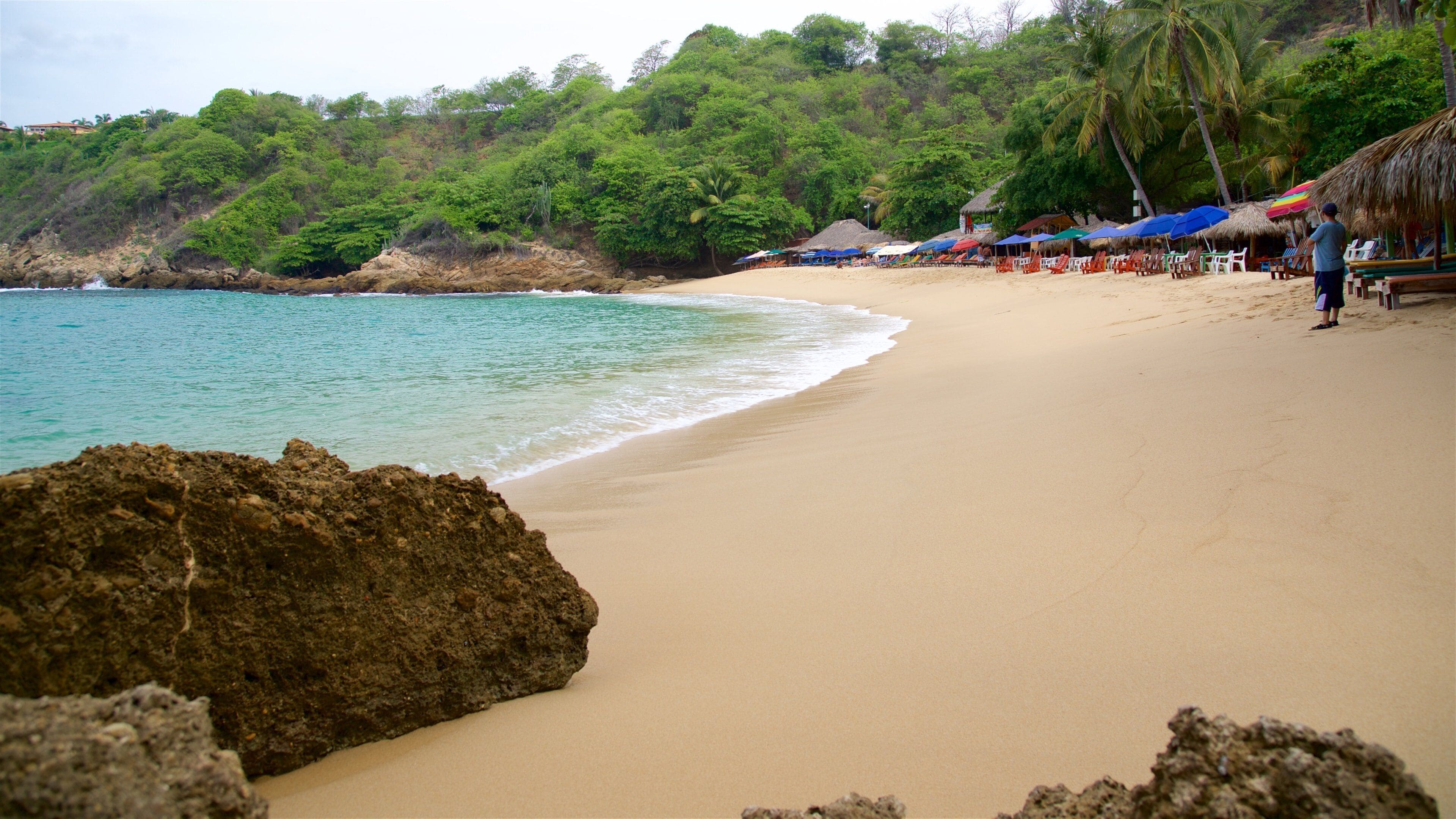 Playa de Carrizalillo que incluye una playa y vista general a la costa