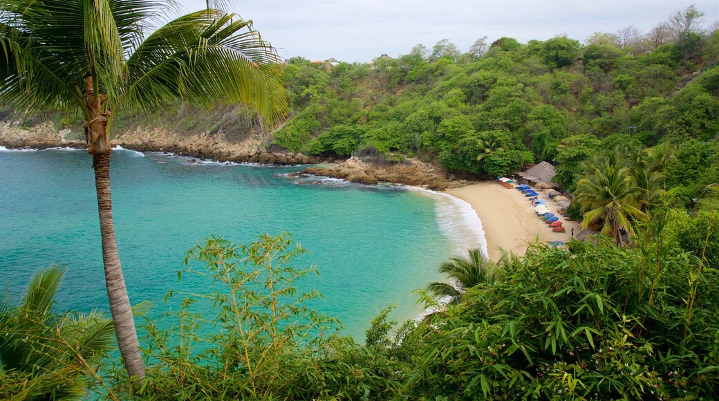 Carrizalillo Beach featuring a beach and general coastal views