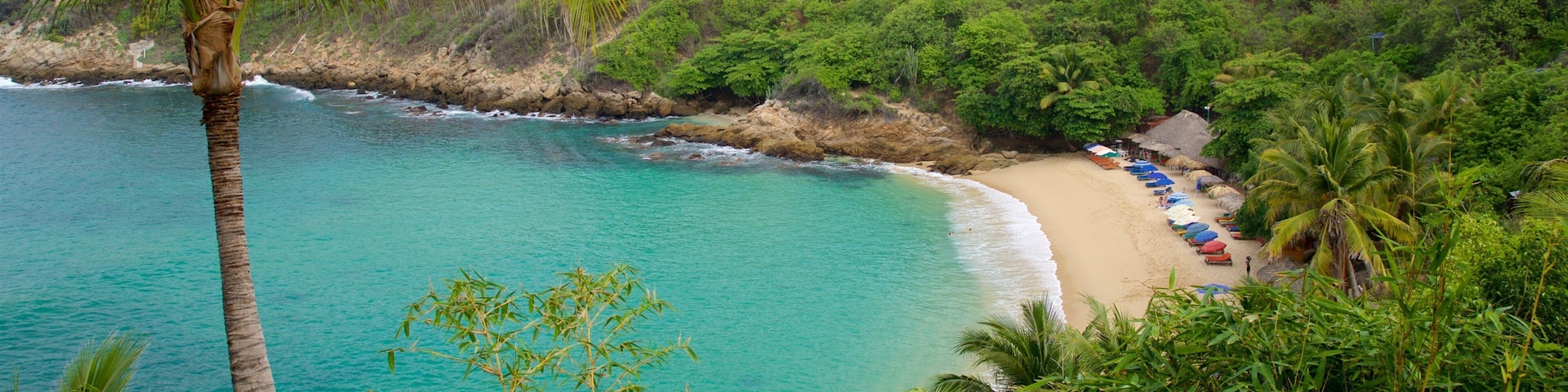 Carrizalillo Beach featuring a beach and general coastal views