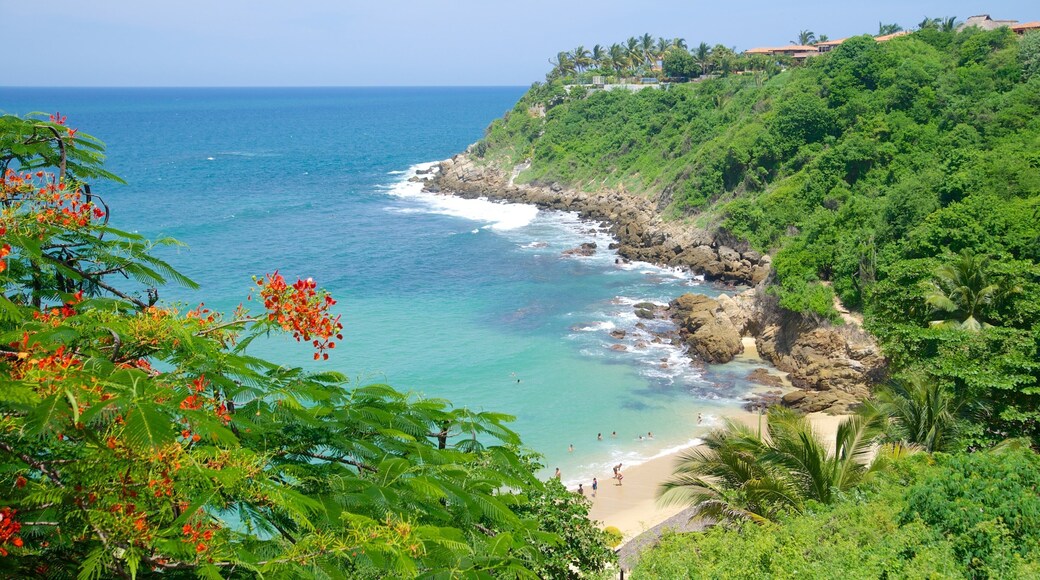 Carrizalillo Beach showing tropical scenes, a sandy beach and rocky coastline