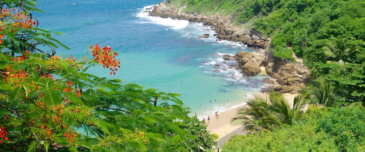 Carrizalillo 海灘 其中包括 海灘, 熱帶景觀 和 岩岸