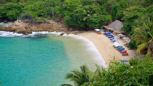 Carrizalillo Beach featuring a beach, general coastal views and tropical scenes