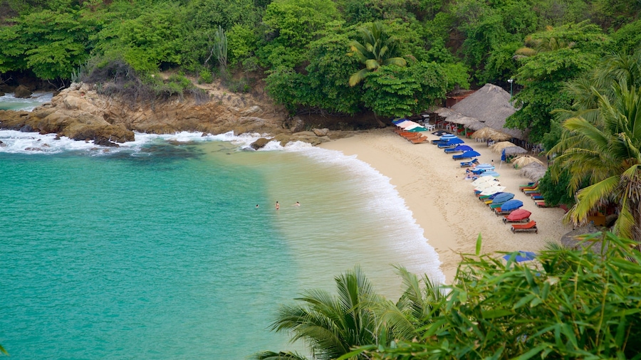 Carrizalillo Beach featuring a beach, tropical scenes and general coastal views