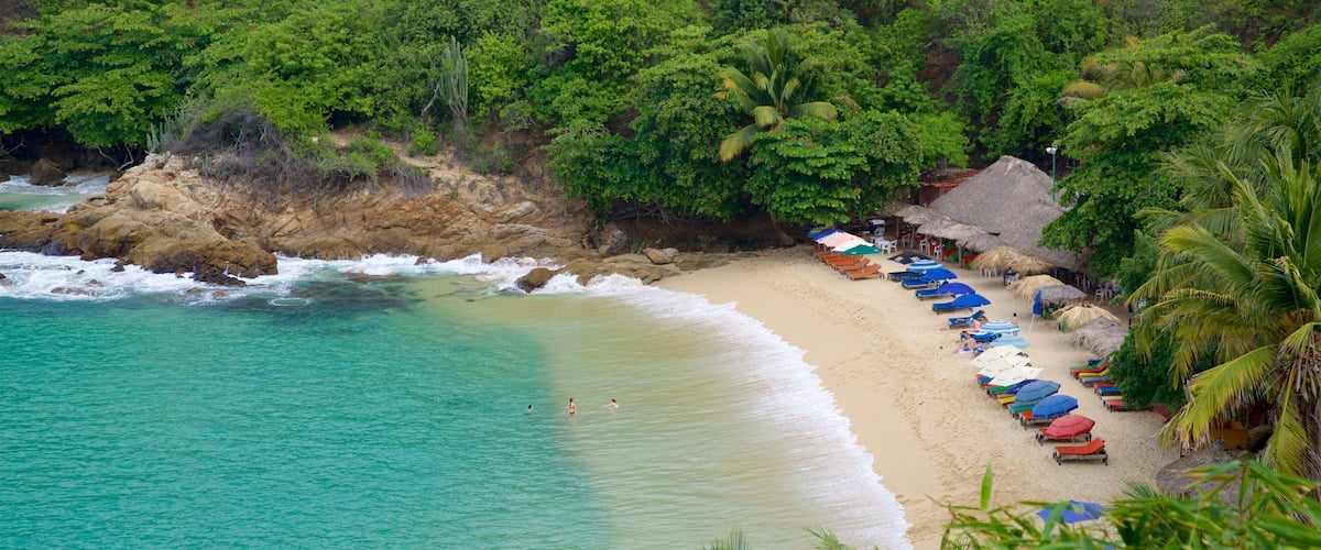 Carrizalillo Beach showing tropical scenes, rugged coastline and general coastal views