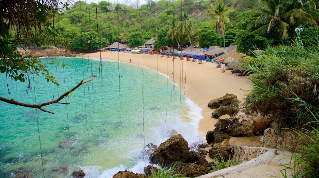 Carrizalillo Beach which includes tropical scenes, a sandy beach and rocky coastline