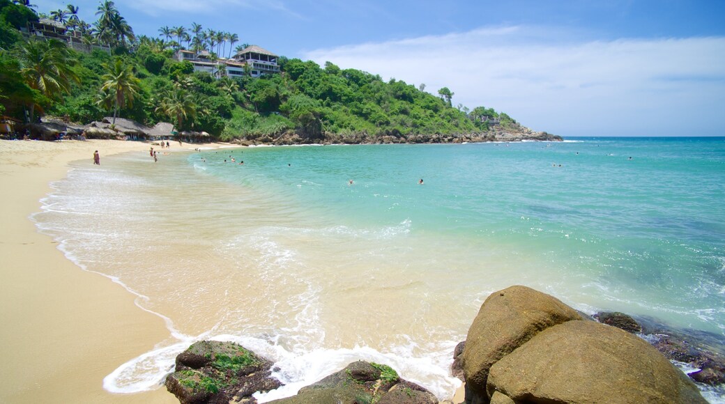 Carrizalillo Beach which includes tropical scenes, a beach and rocky coastline