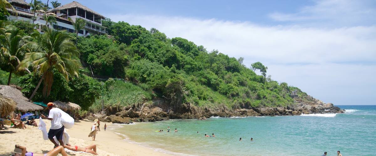 Playa de Carrizalillo ofreciendo natación, escenas tropicales y costa rocosa