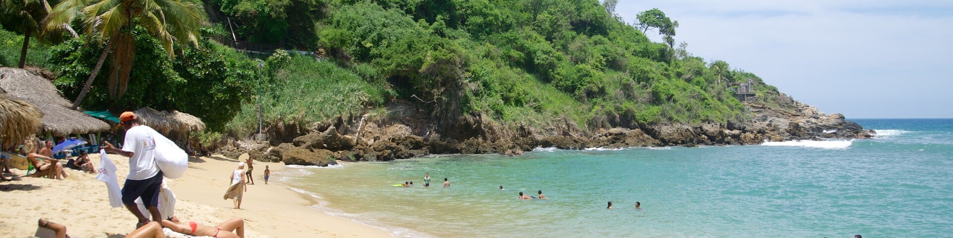 Playa de Carrizalillo mostrando una playa de arena, una casa y escenas tropicales
