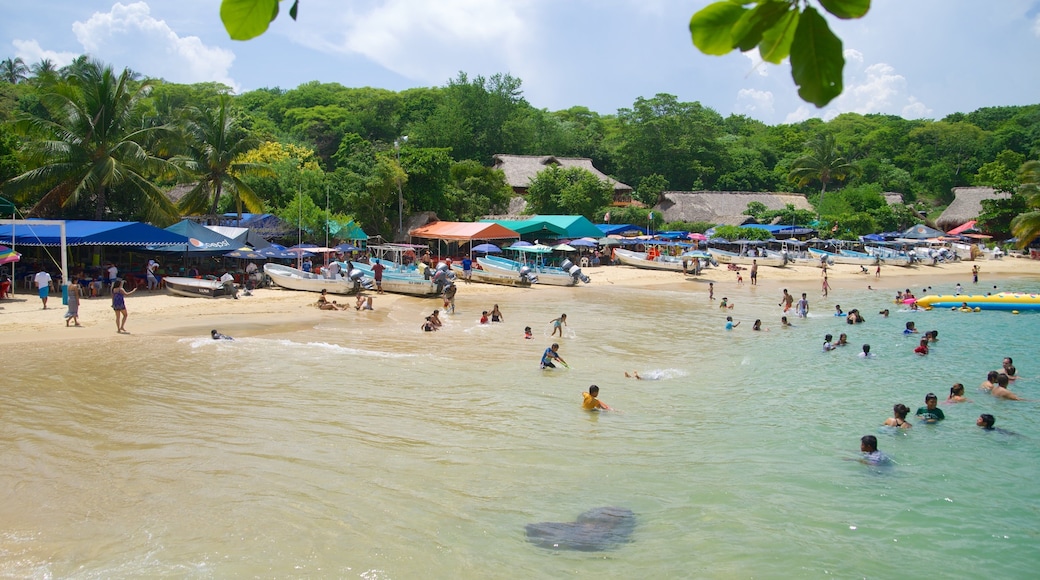 Puerto Angelito Beach showing swimming, tropical scenes and a sandy beach