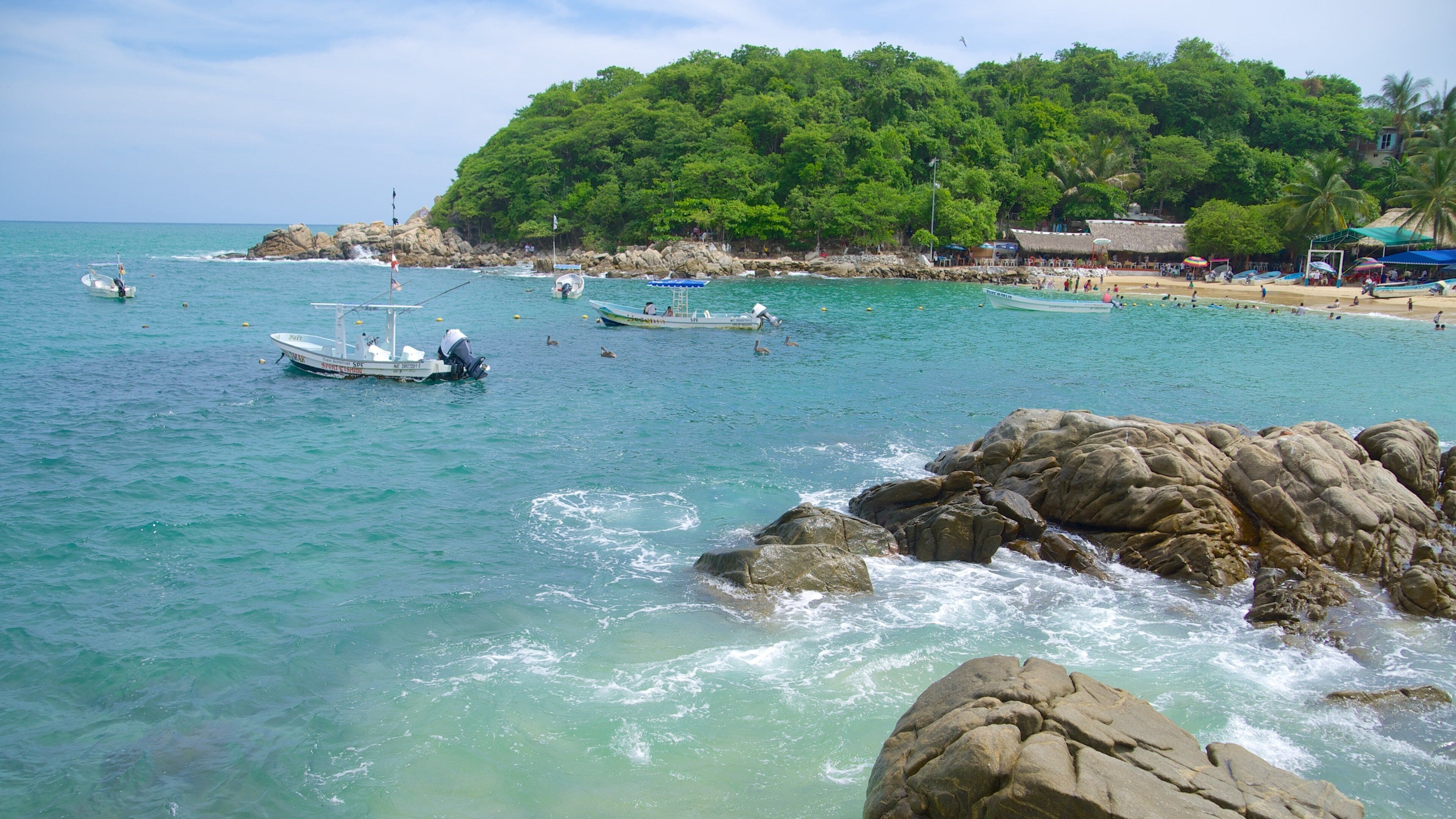 Puerto Angelito Beach which includes tropical scenes, swimming and a bay or harbor