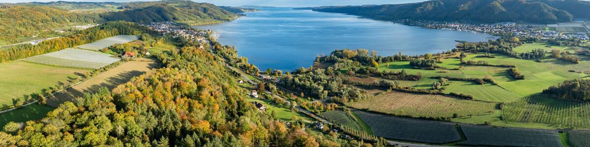 A coastal landscape with a river, hills, and a town.