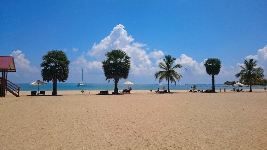 A beach with palm trees, lounge chairs, and umbrellas.