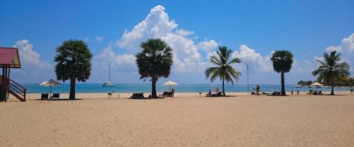 A beach with palm trees, lounge chairs, and umbrellas.