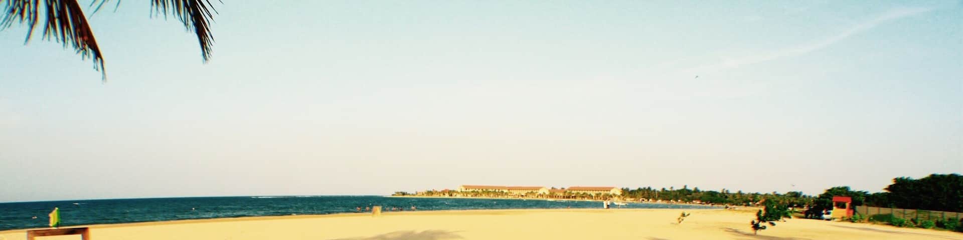 A beach with shadows of palm trees, a sandy shore, and a distant building.