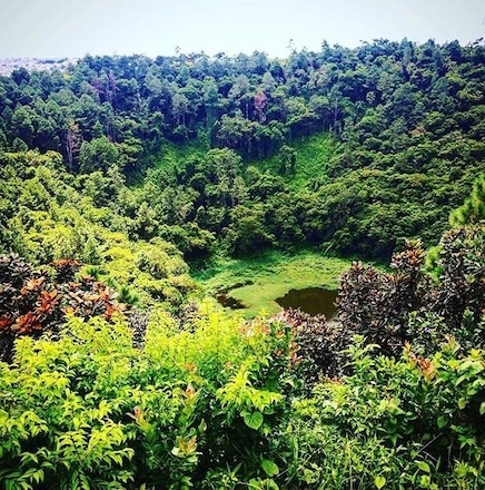 Surrounded by green colours in Mauritius #LifeAtExpedia #naturelovers #green #mauritius