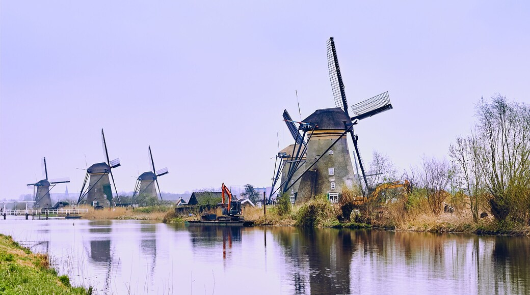 ๋
ธ๋ฅดํธ