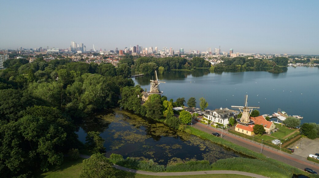 View on the skyline of Rotterdam as seen from the Kralingse Bos