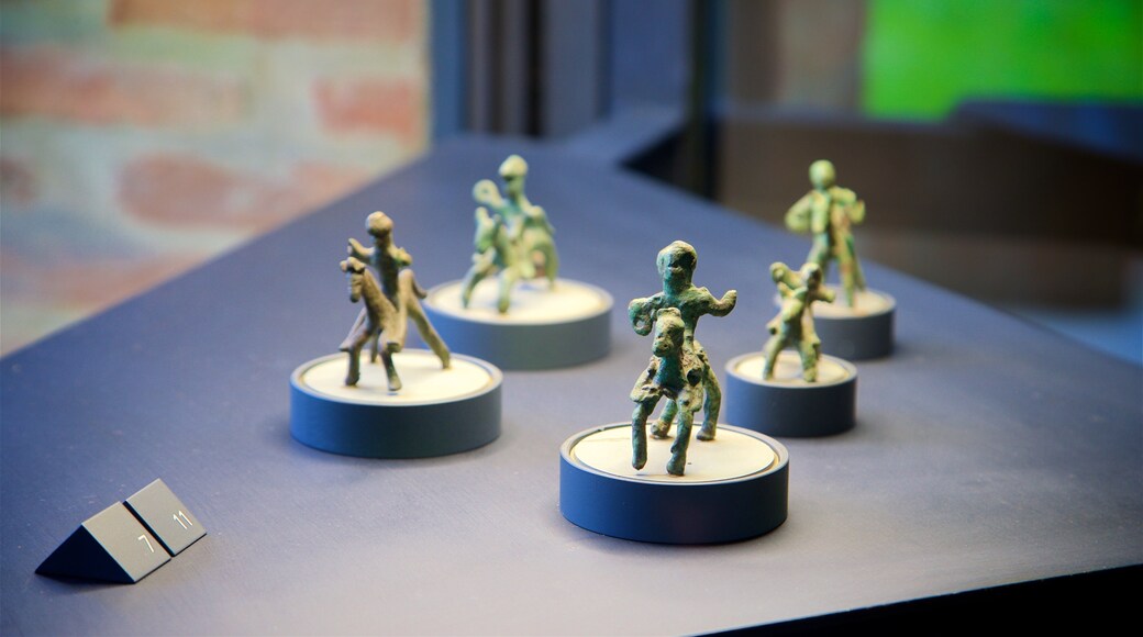 Eremitani Town Museums which includes interior views