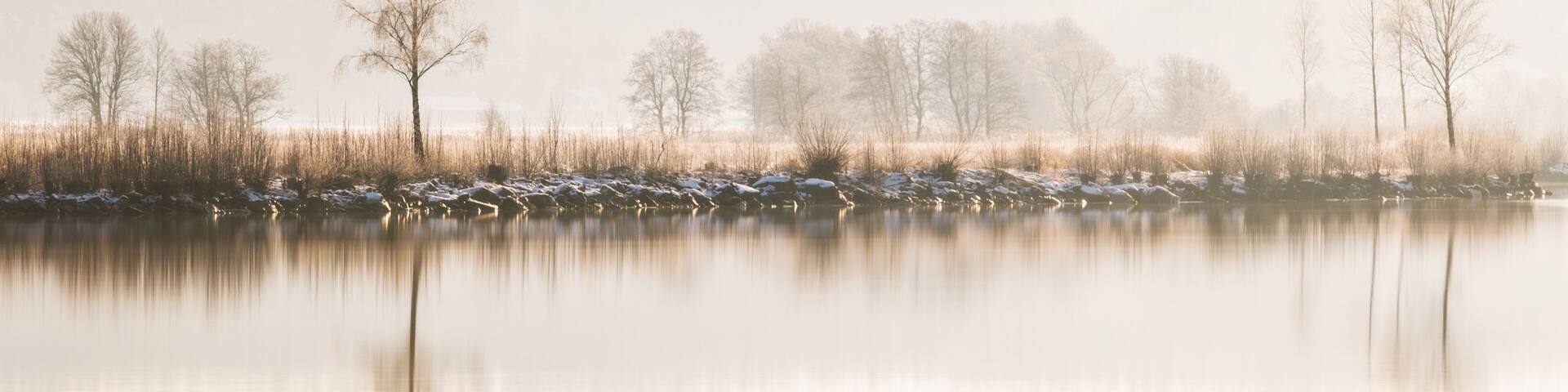 Winter trees on riverbank, Göta Älv, Sweden, Europe