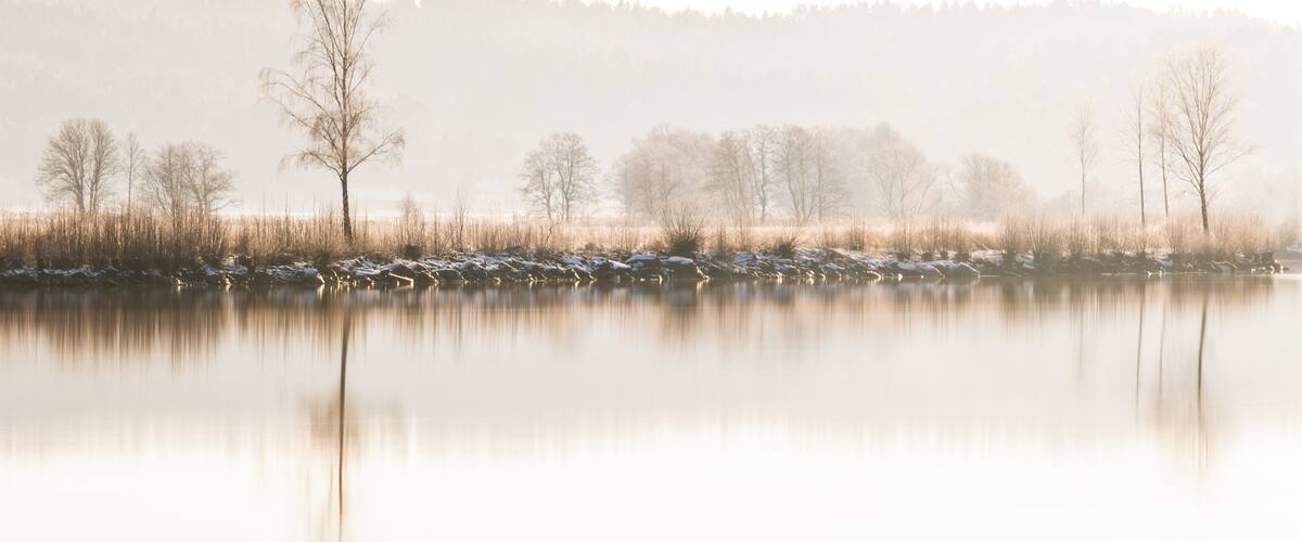 A calm lake with reflections of trees and a misty forest in the background.