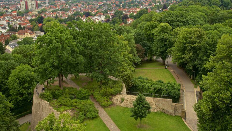 A historic castle surrounded by lush green trees and a cityscape in the background.