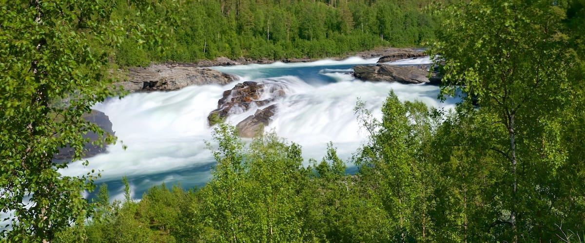 Cascada de Maalselvfossen mostrando rápidos y escenas forestales