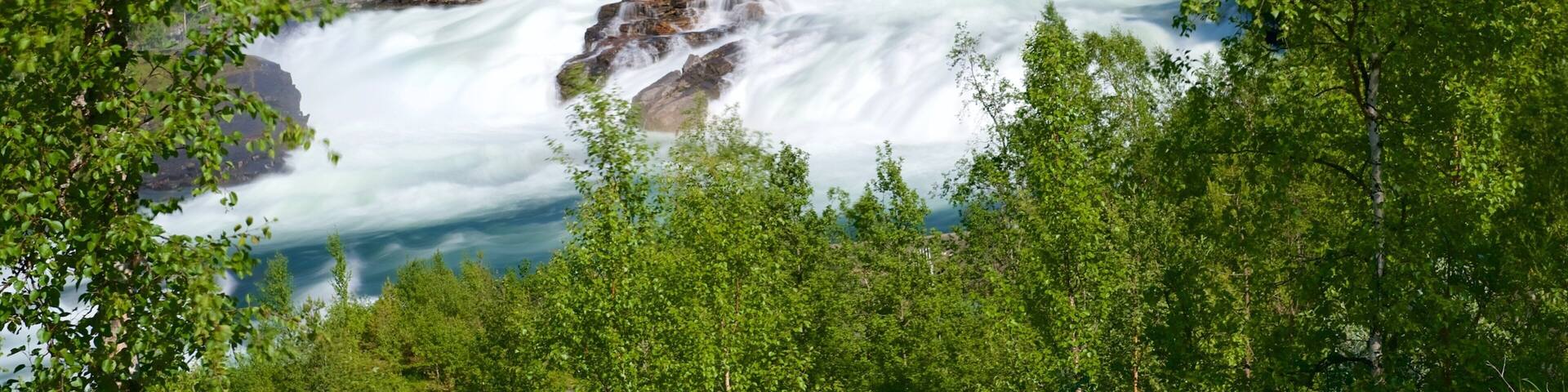 Cascade MĂ„lselvfossen qui includes forĂȘts et rapides