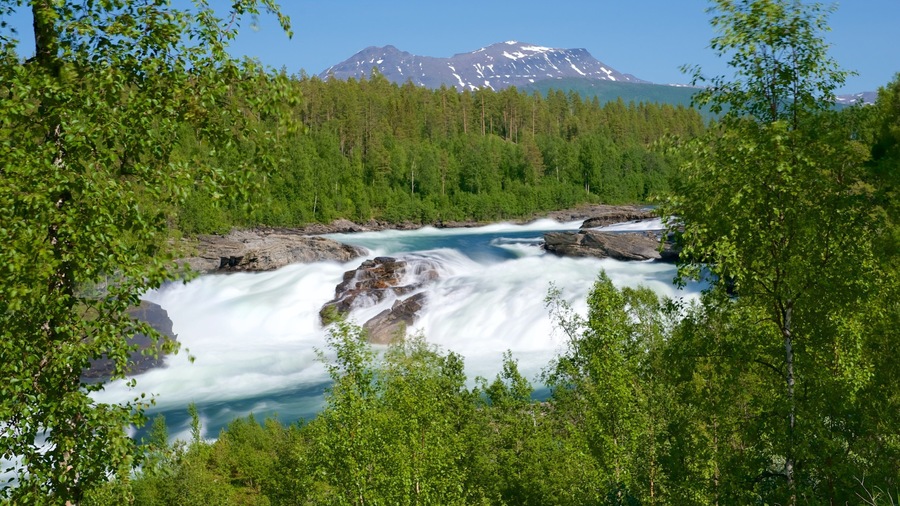 Maalselvfossen Waterfall featuring rapids and forests