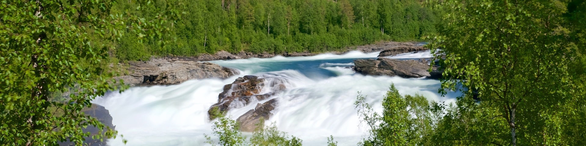 Maalselvfossen Waterfall showing forest scenes and rapids