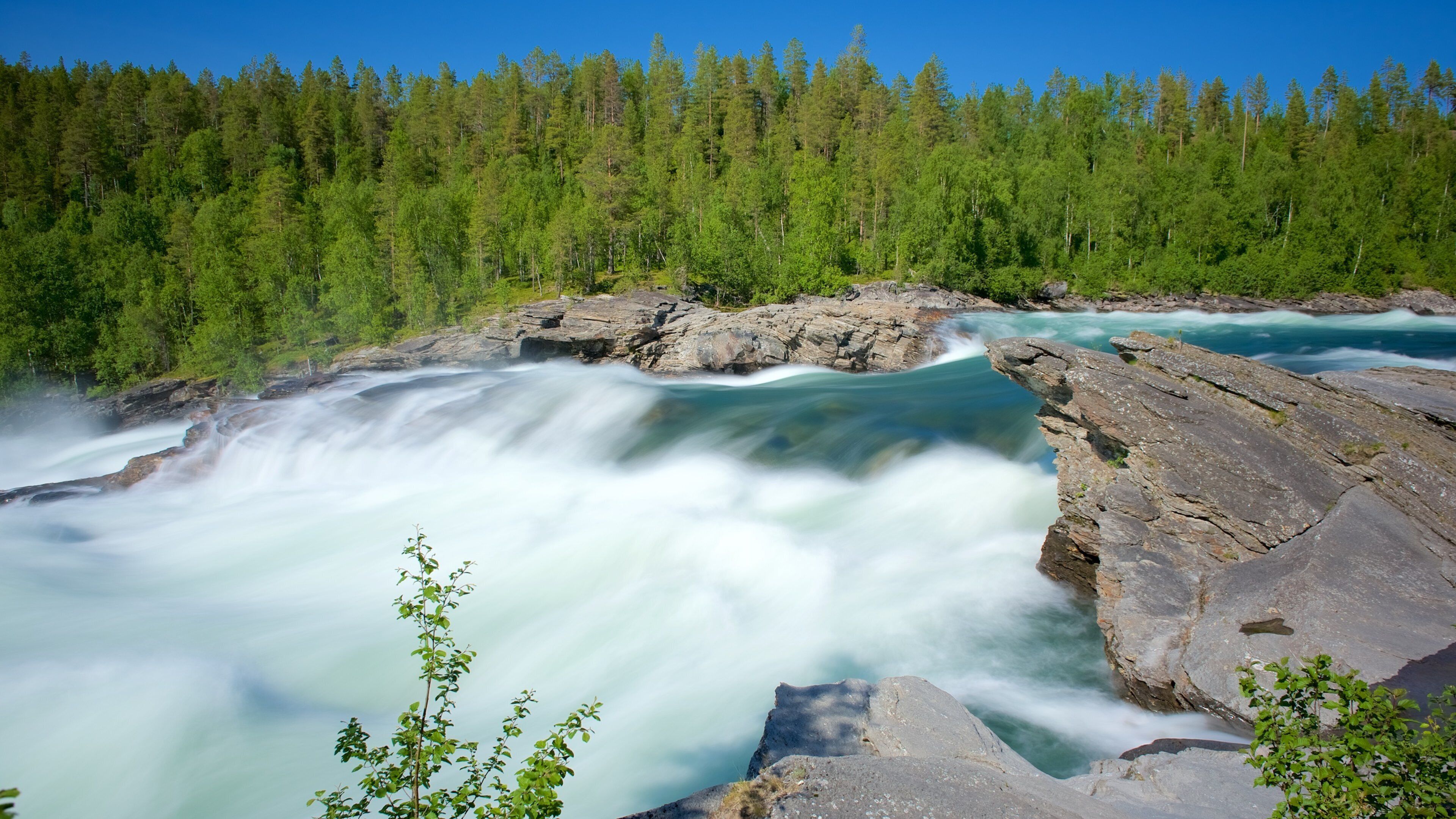 Maalselvfossen Waterfall which includes forest scenes and rapids