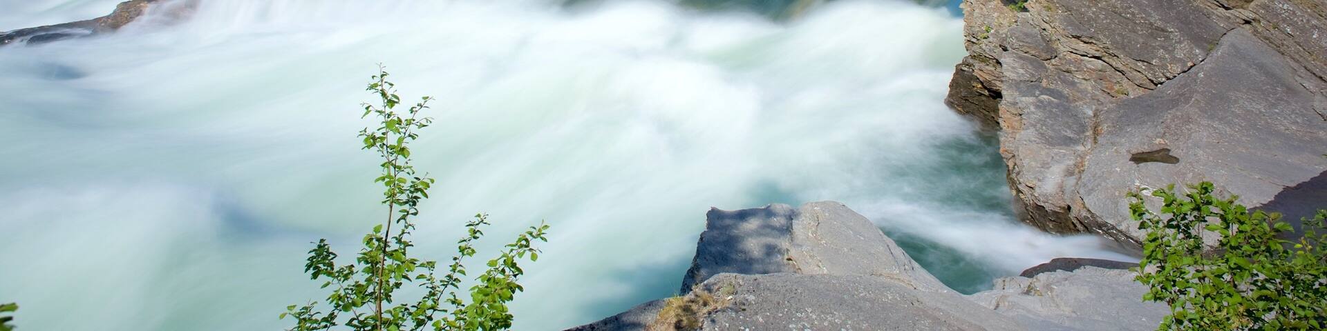 Maalselvfossen Waterfall which includes forest scenes and rapids