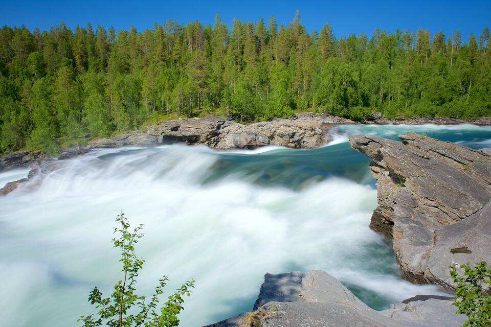 En snabbströmmande flod med ett stenigt vattenfall, omgiven av tät, grön skog.