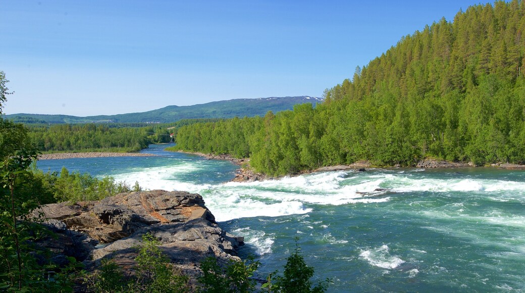 Maalselvfossen Waterfall which includes forest scenes and rapids