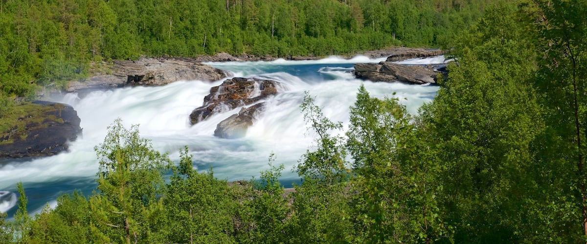 Maalselvfossen Waterfall showing forest scenes and rapids