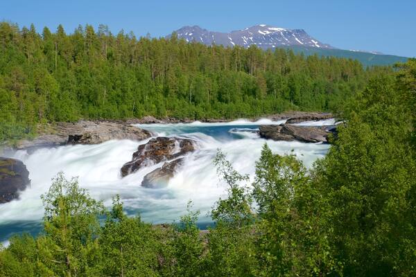 Wasserfall MÄlselvfossen das einen Waldmotive und Stromschnellen