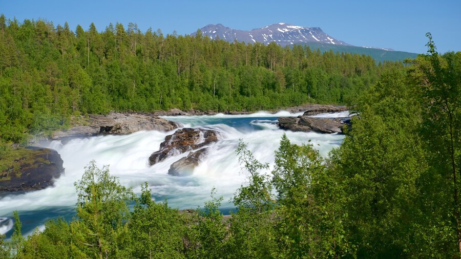 Maalselvfossen Waterfall featuring rapids and forests