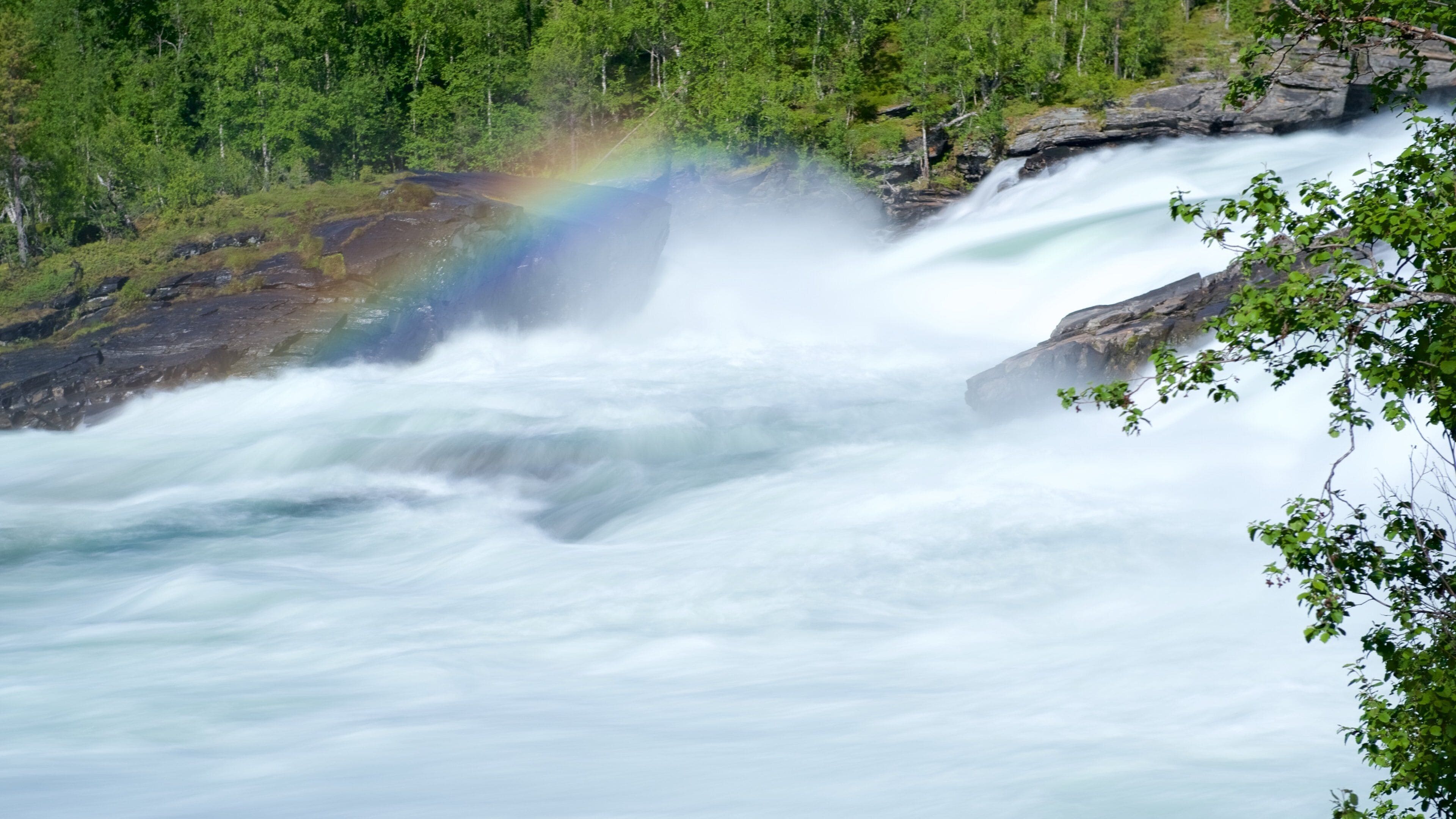 Una cascada imponente con un arcoíris visible, rodeada de un bosque frondoso.