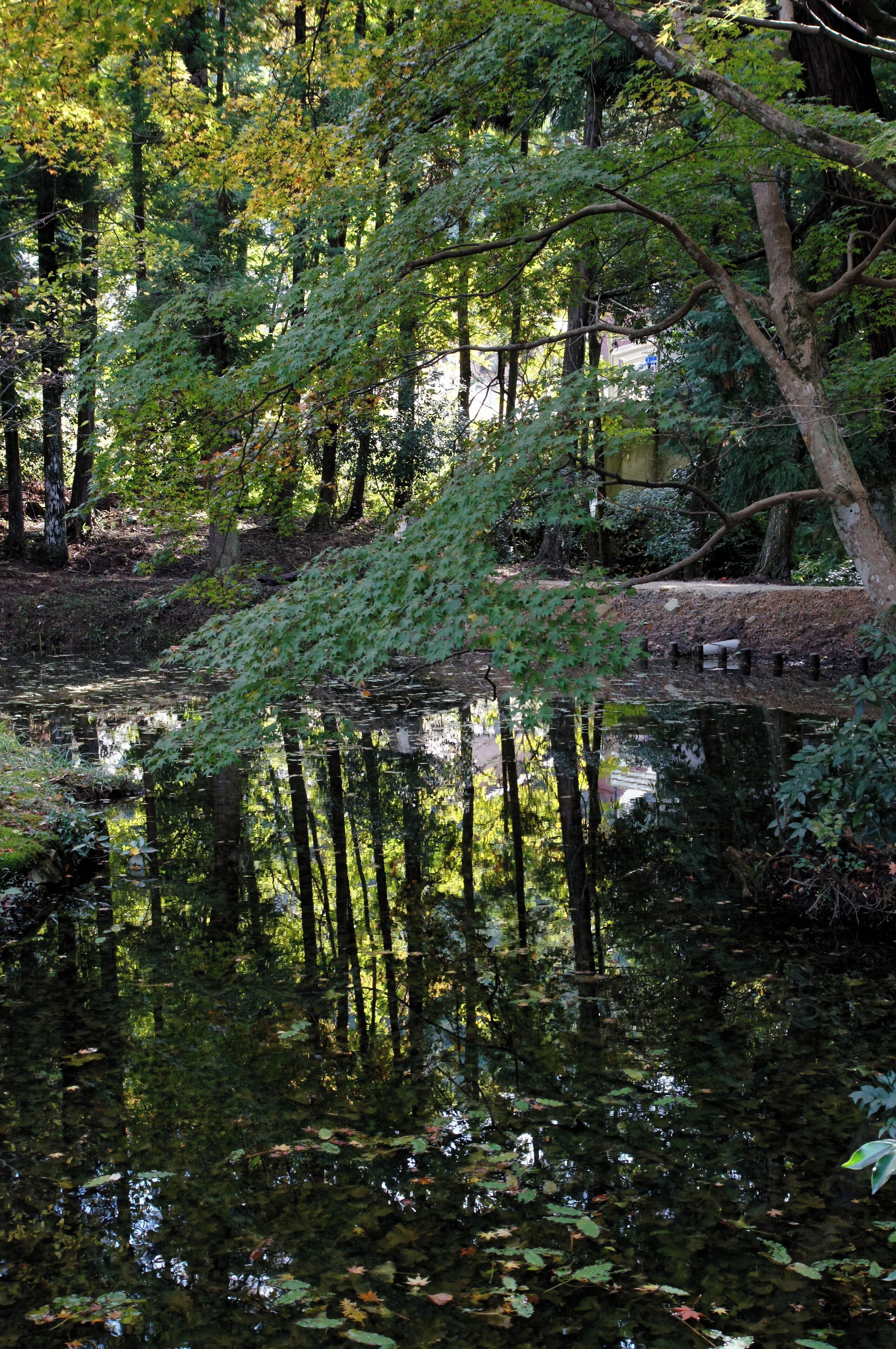 The ruins of Fukumoto Jinya are the present Otoshi-jinja, Kamikawa, Hyogo prefecture, Japan