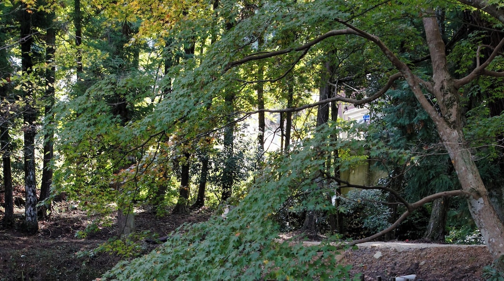 The ruins of Fukumoto Jinya are the present Otoshi-jinja, Kamikawa, Hyogo prefecture, Japan