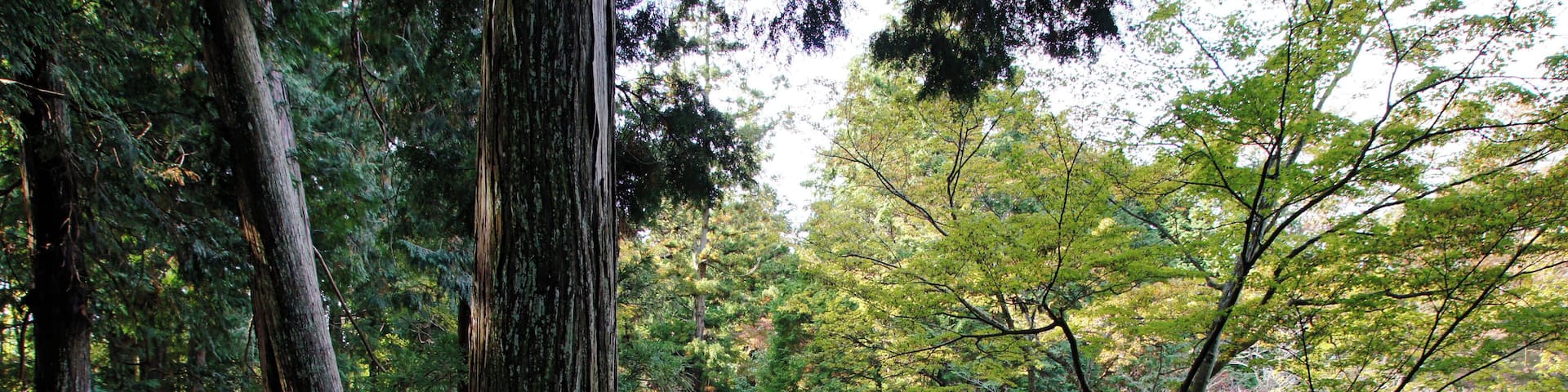 The ruins of Fukumoto Jinya are the present Otoshi-jinja, Kamikawa, Hyogo prefecture, Japan