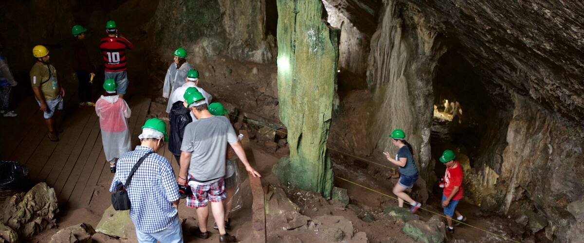 Sao Miguel Cave which includes caves and caving as well as a small group of people