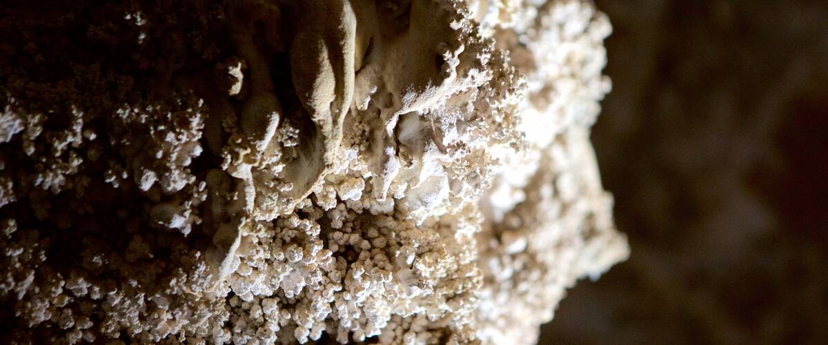 Sao Miguel Cave showing caves
